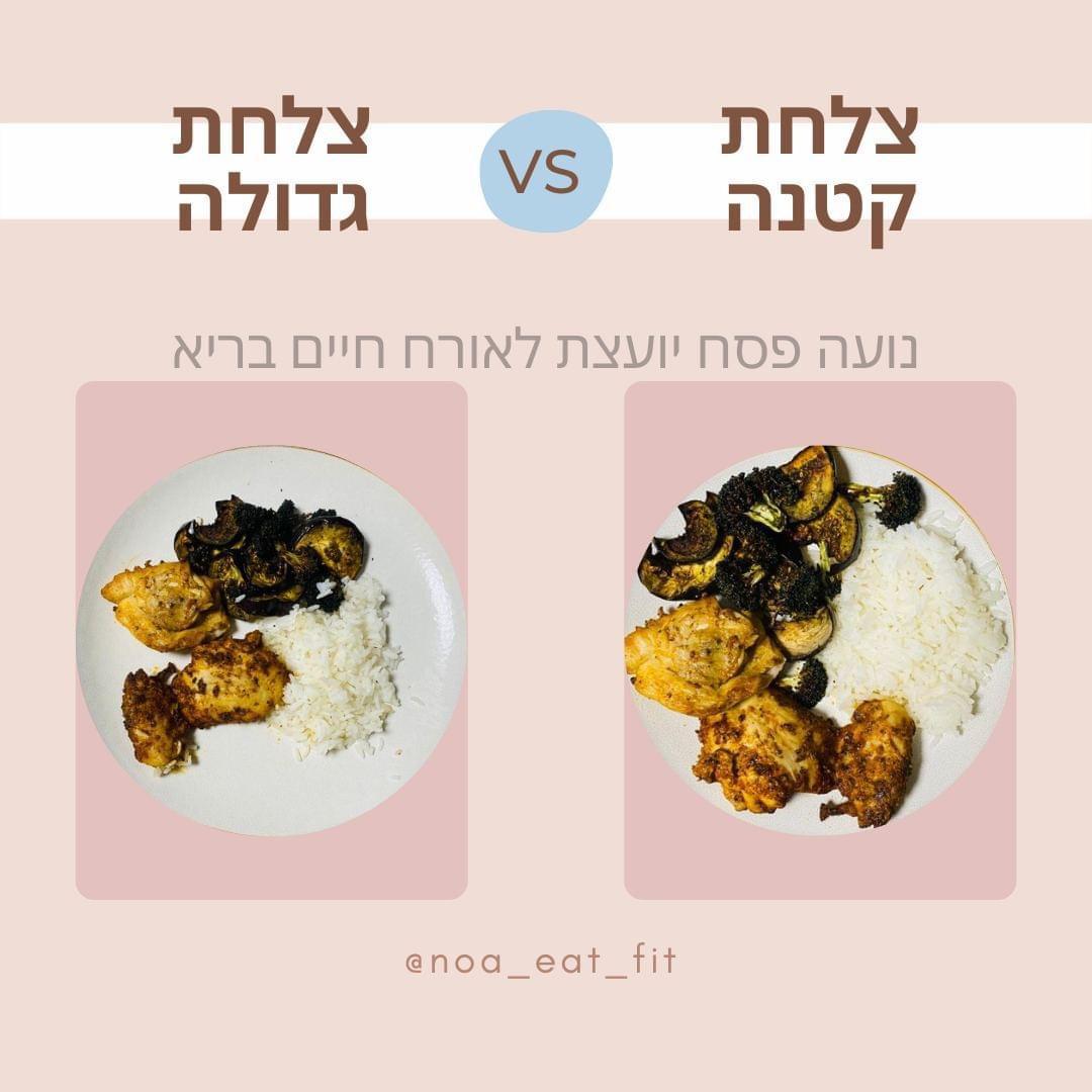 צלחת קטנה לעומת צלחת גדולה  